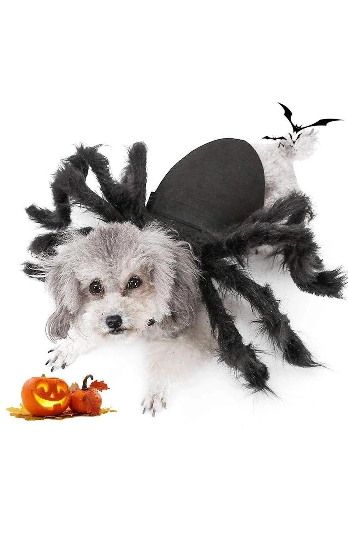Spider Costume for Pets