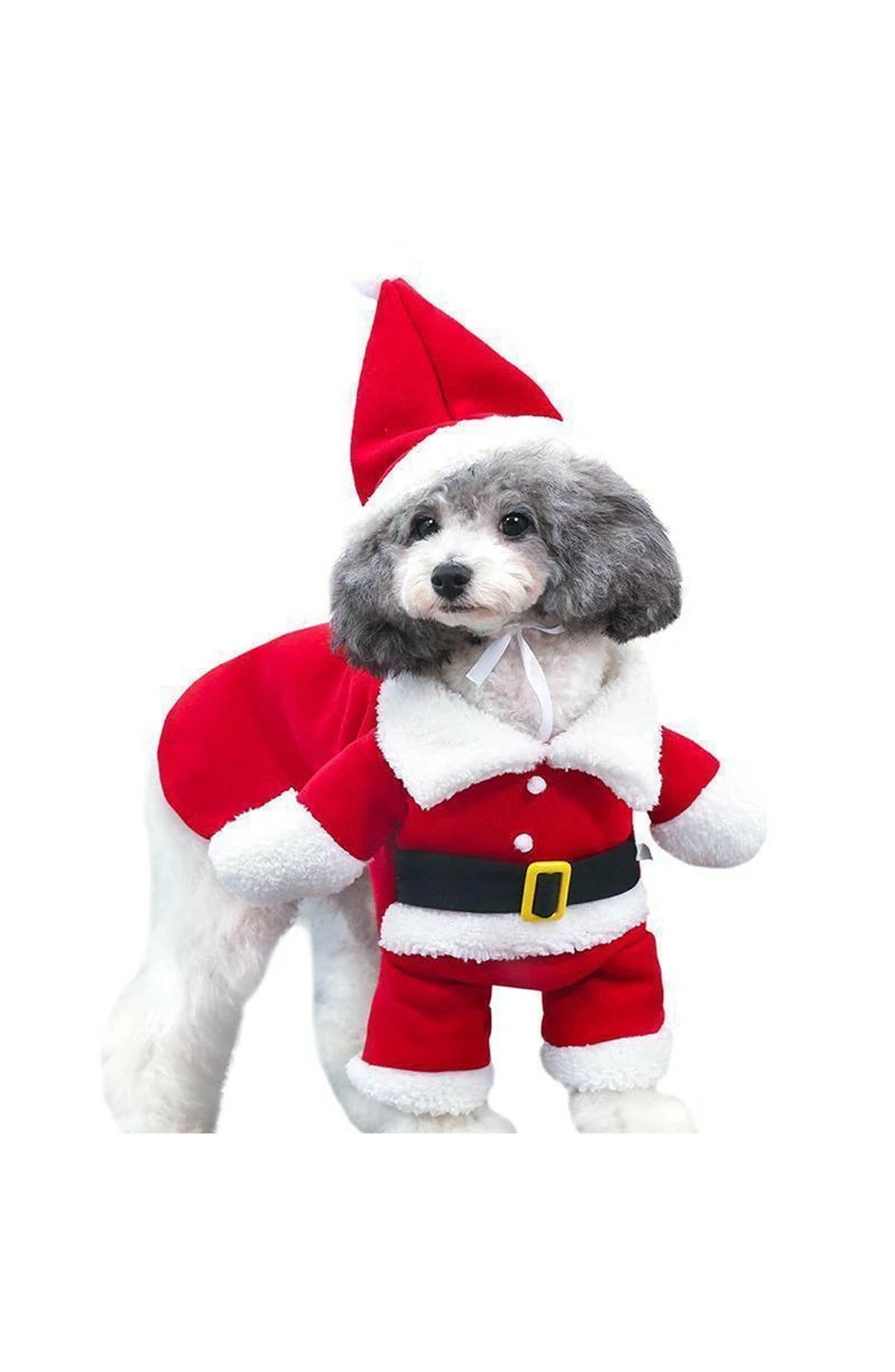 Funny Pet Costumes