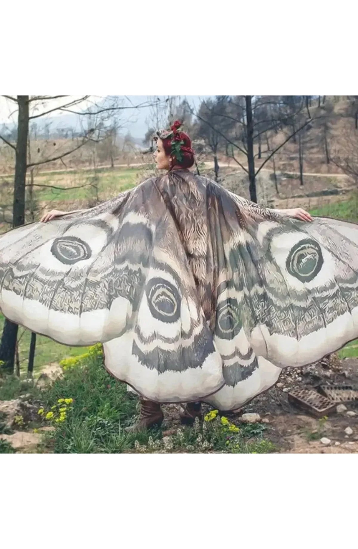Moth Wing Chiffon Cape