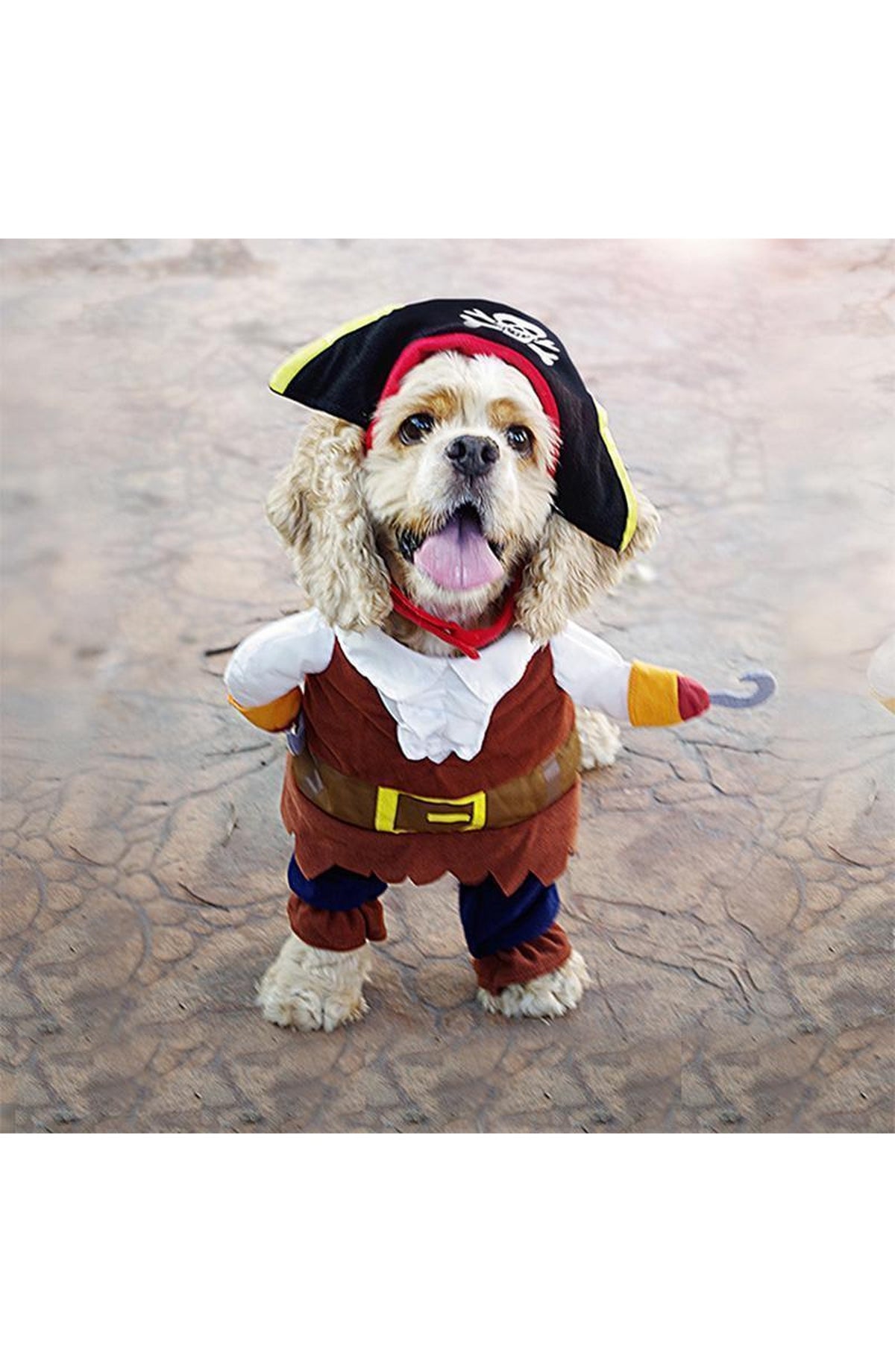 Funny Pet Costumes