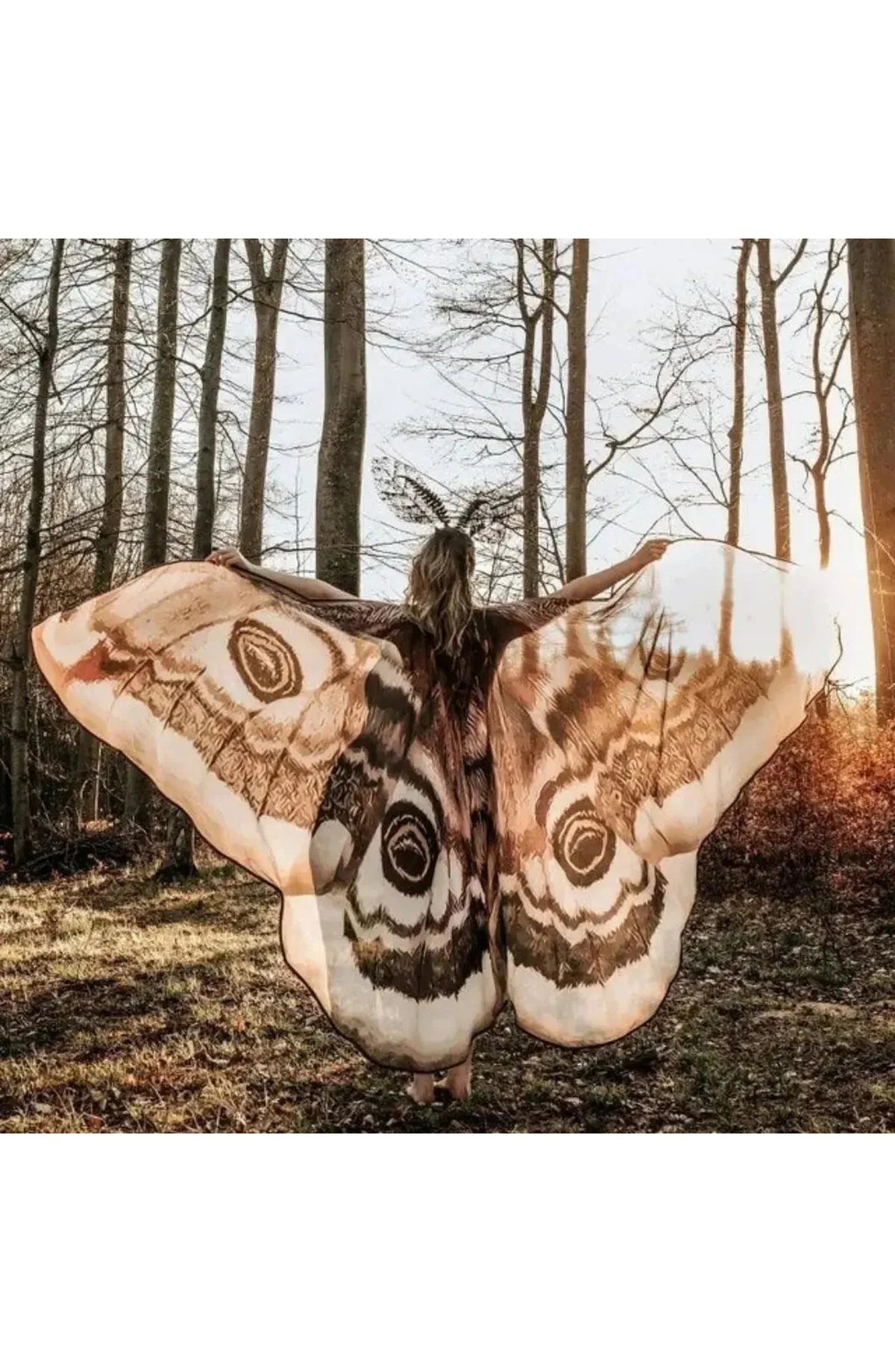 Moth Wing Chiffon Cape