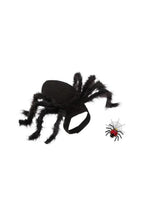 Spider Costume for Pets