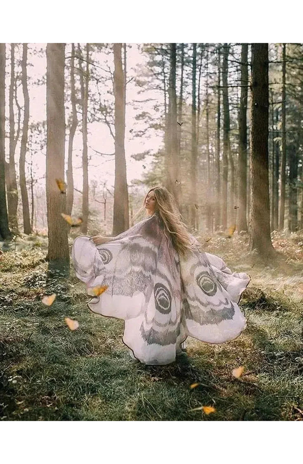 Moth Wing Chiffon Cape