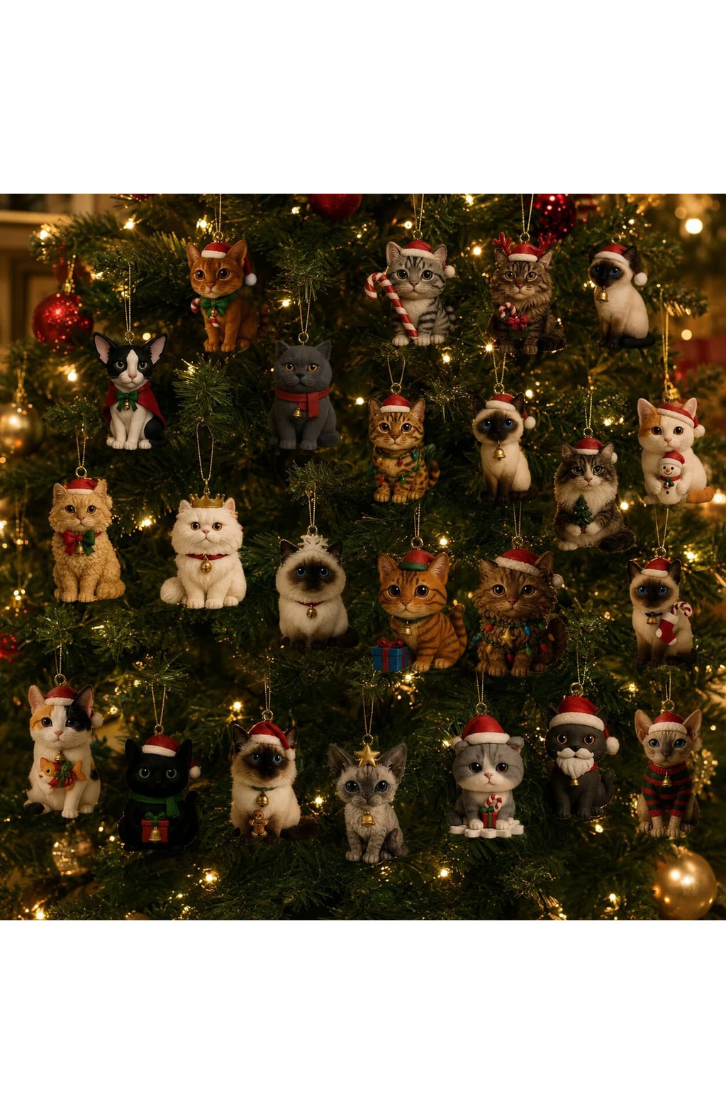 Cat Advent Calendar 2026