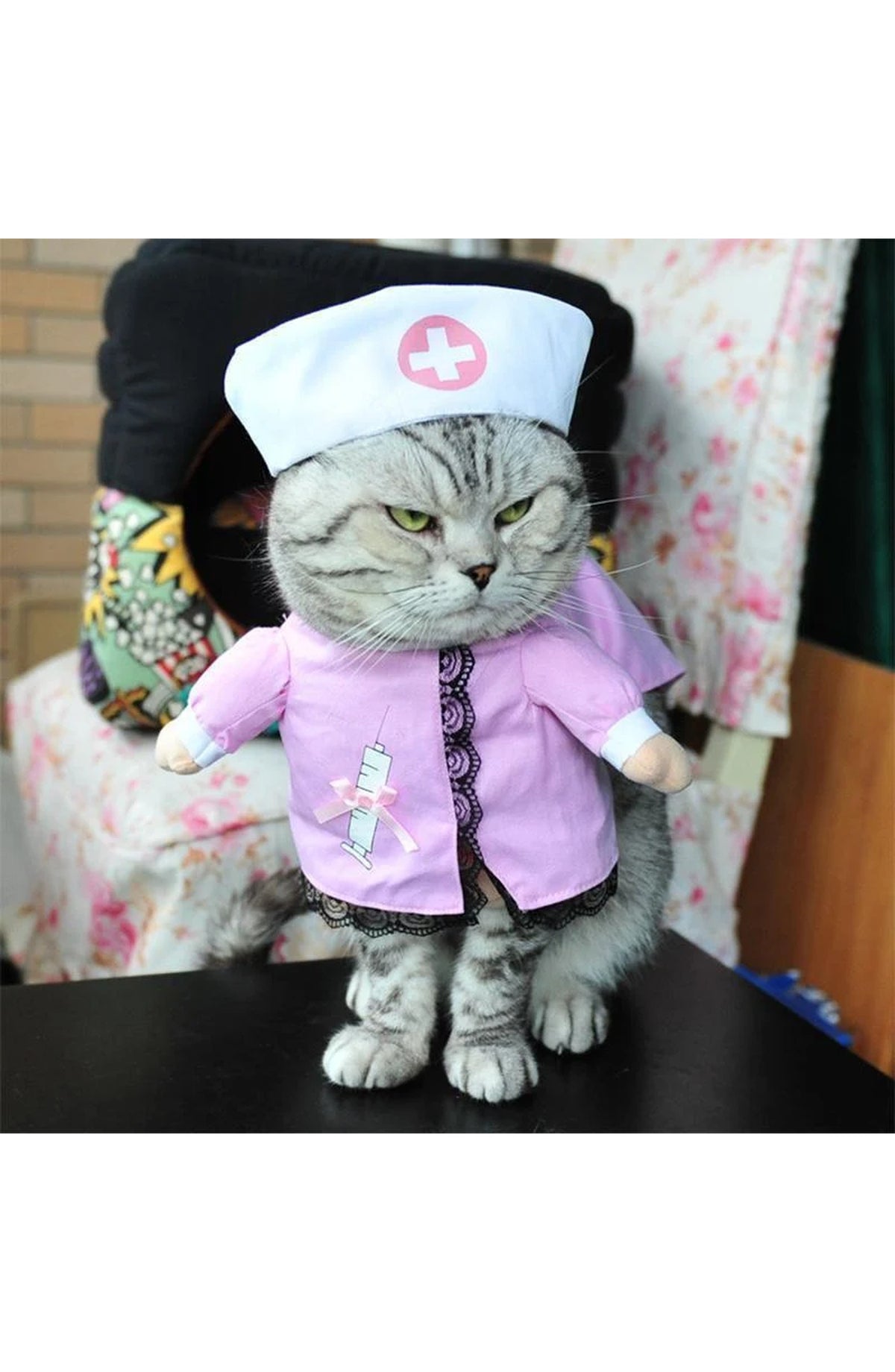 Funny Pet Costumes