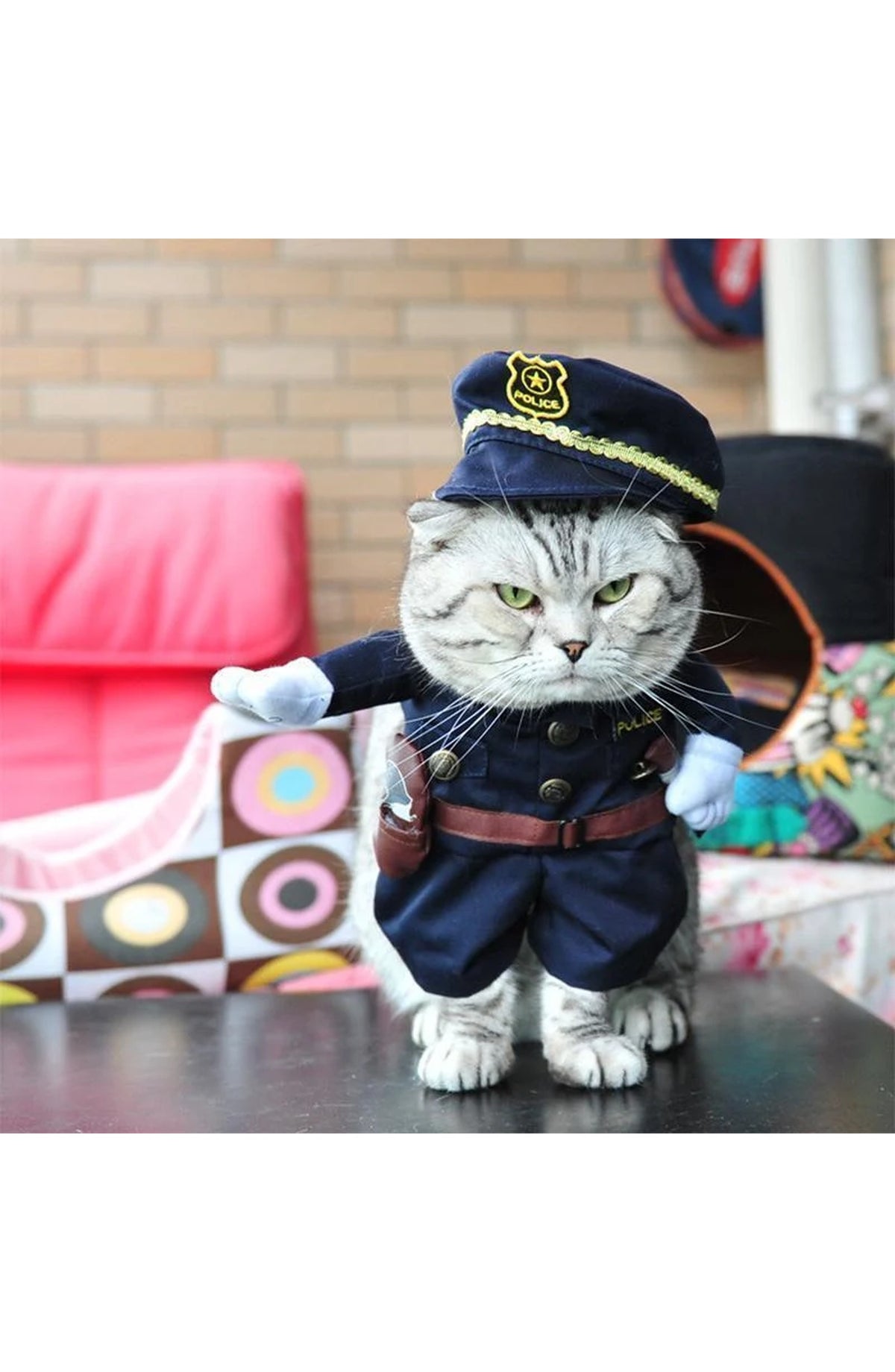 Funny Pet Costumes