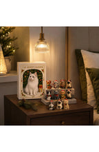 Cat Advent Calendar 2026