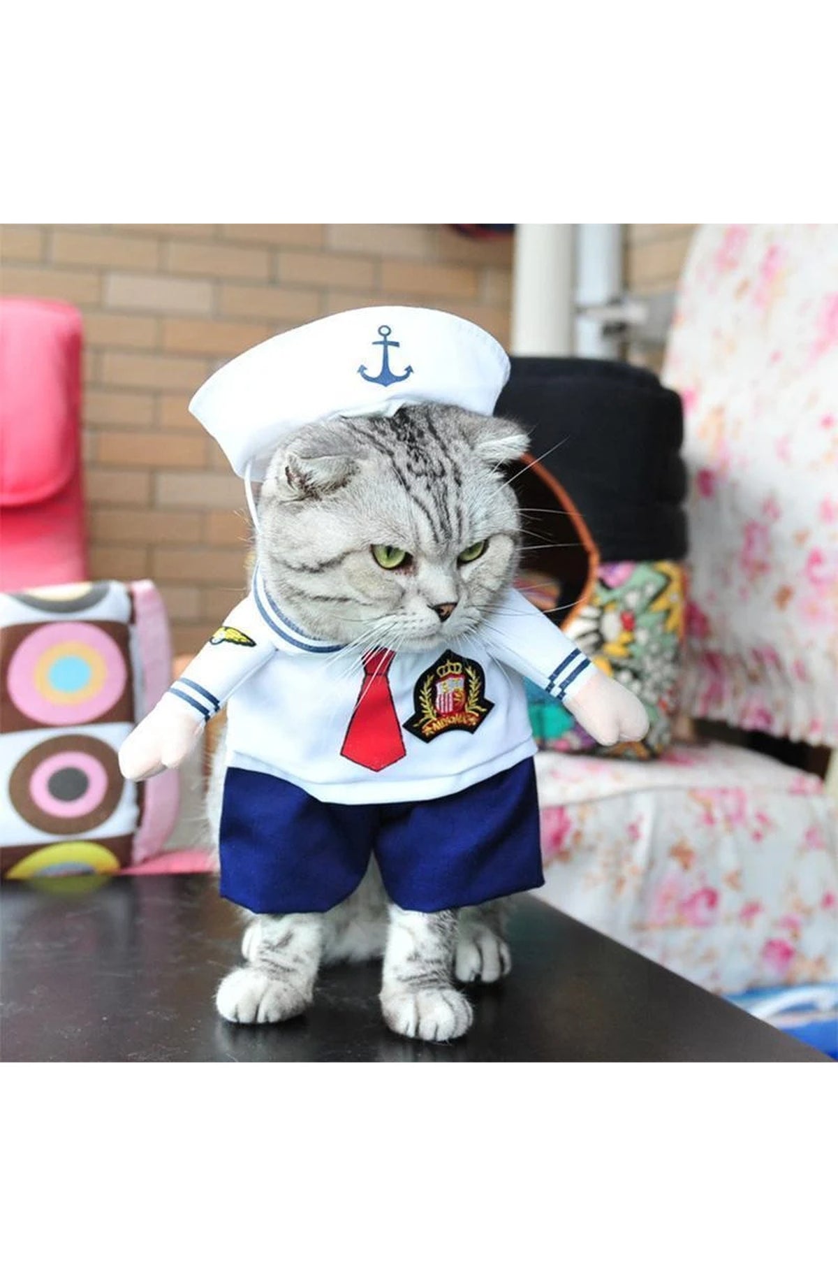 Funny Pet Costumes