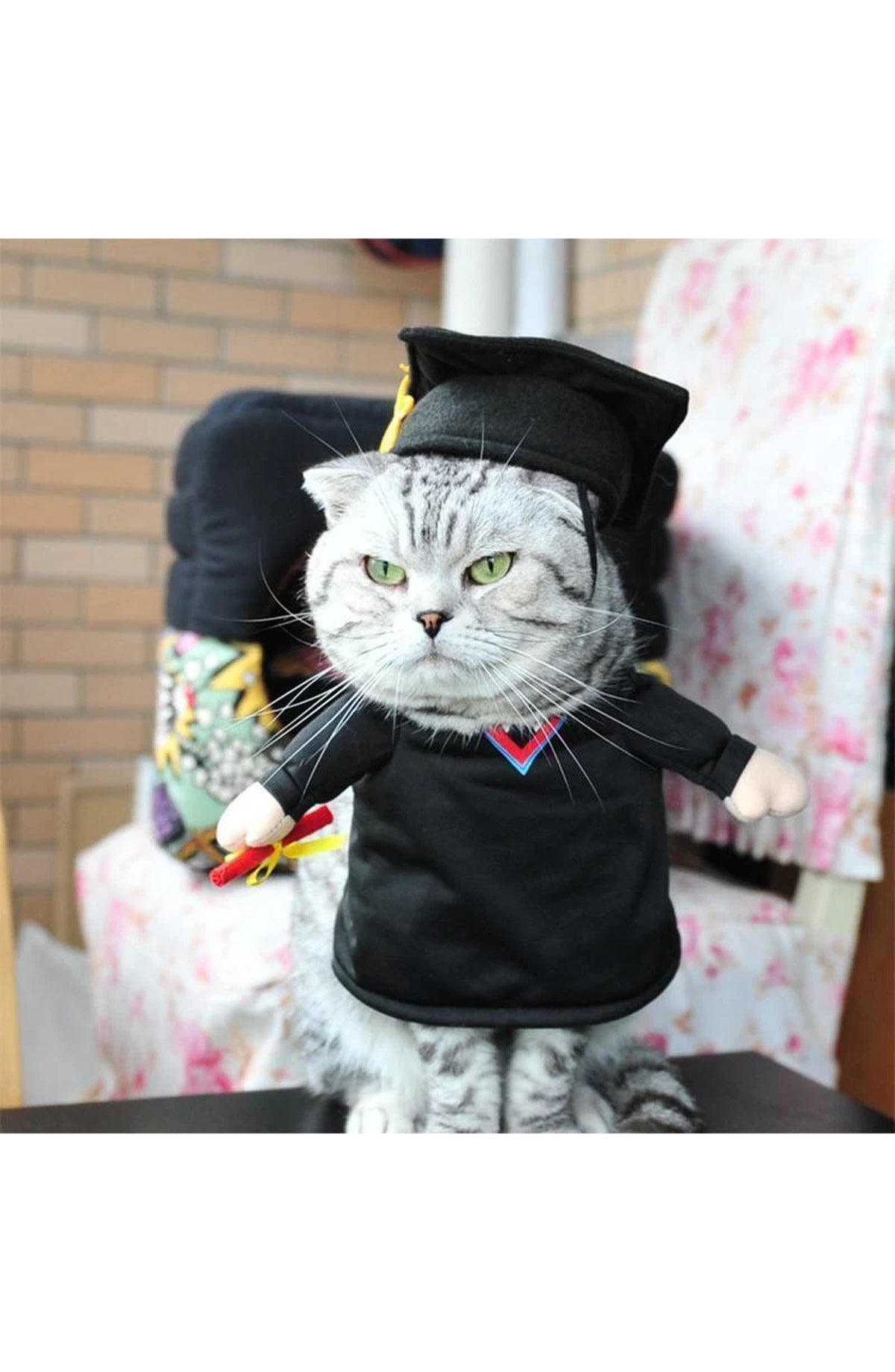 Funny Pet Costumes