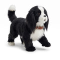 Interactive Robot Puppy Toy with Walking and Barking